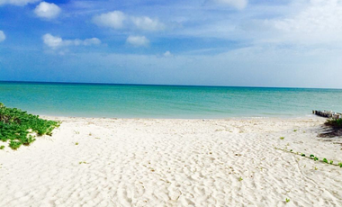 Terreno en Renta en Costera-Chixchulub KM13