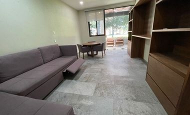 METEPEC RENTA SAN CARLOS