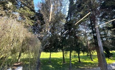 METEPEC RENTA SAN CARLOS