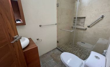 METEPEC RENTA SAN CARLOS