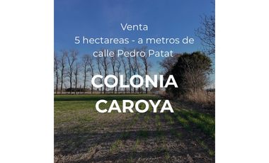 VENTA-QUINTA 4.5HAS- COLONIA CAROYA