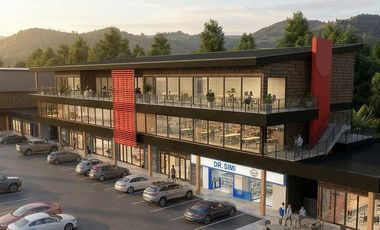 Local comercial en arriendo  en PUERTO VARAS