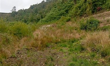 Parcela en Venta en canta rana parcela A2, ruta V-65 camino correntoso, kilómetro 2,5