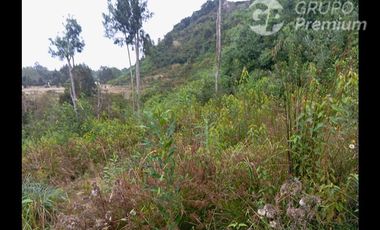 Parcela en Venta en canta rana parcela A2, ruta V-65 camino correntoso, kilómetro 2,5