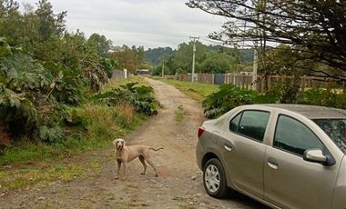 Parcela en Venta en canta rana parcela A2, ruta V-65 camino correntoso, kilómetro 2,5