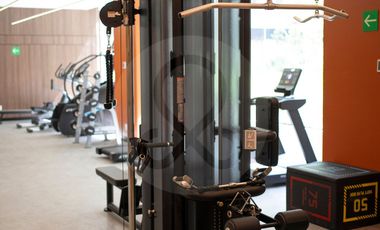 Departamento en renta en San Rafael