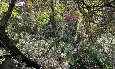 Vendo casa en las Arboledas