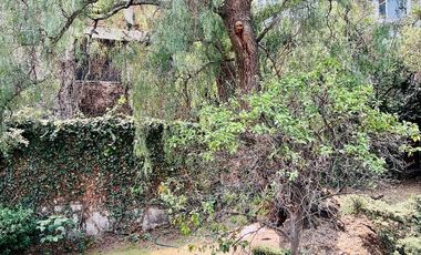 Vendo casa en las Arboledas