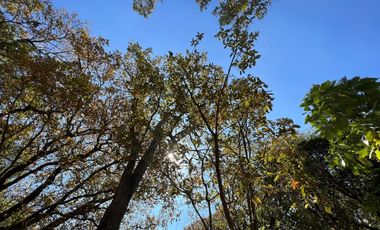 Vendo casa en las Arboledas