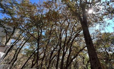 Vendo casa en las Arboledas