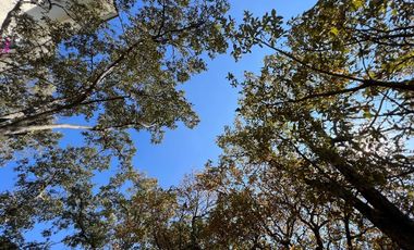 Vendo casa en las Arboledas