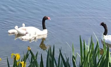 Casa en  venta a la laguna 4 dormitorios, Barrio Santa Teresa, Villanueva