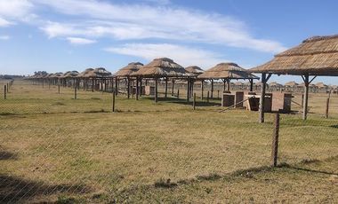 Terreno en venta - 297mts2 - General Rodriguez