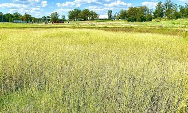 Terreno en venta - 600mts2 totales - Zarate Golf Park