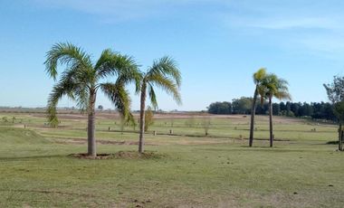 Terreno en venta - 600mts2 totales - Zarate Golf Park