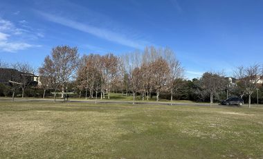 Lote en Venta - La Isla, Nordelta - La mejor ubicación!