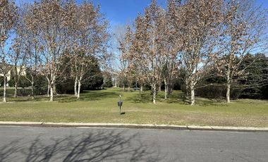 Lote en Venta - La Isla, Nordelta - La mejor ubicación!