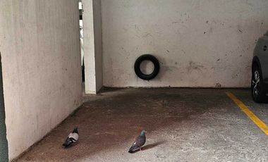 Departamento en venta en CONCEPCIÓN