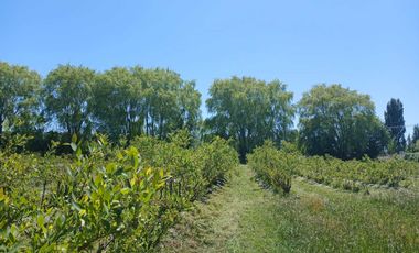 Parcela en venta en BULNES