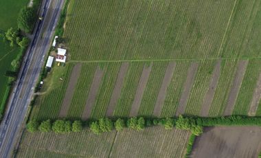 Parcela en venta en BULNES