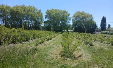Parcela en venta en BULNES