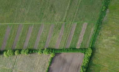 Parcela en venta en BULNES