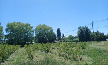 Parcela en venta en BULNES