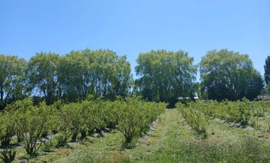 Parcela en venta en BULNES