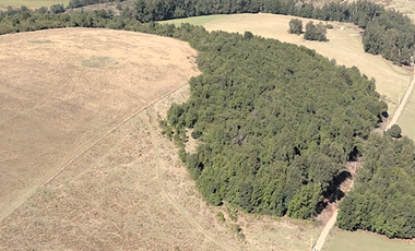 Parcela en Venta en Sector San Pedro