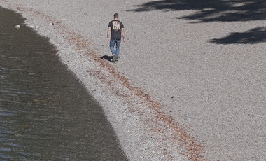 Parcela en Venta en Sector San Pedro