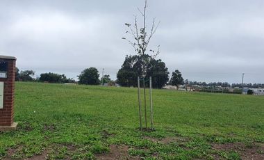 Terreno en venta - 672mts2 - Mar Del Plata