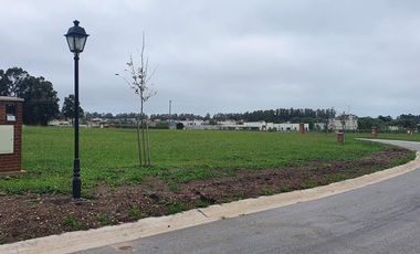 Terreno en venta - 672mts2 - Mar Del Plata