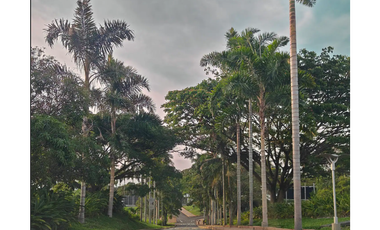 VENTA  APARTAMENTO AMOBLADO  EN CERRITOS PEREIRA