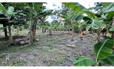 VENTA DE FINCA EN TEBAIDA, QUINDO, COLOMBIA