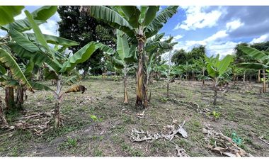 VENTA DE FINCA EN TEBAIDA, QUINDO, COLOMBIA