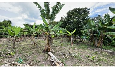 VENTA DE FINCA EN TEBAIDA, QUINDO, COLOMBIA