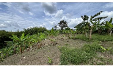 VENTA DE FINCA EN TEBAIDA, QUINDO, COLOMBIA