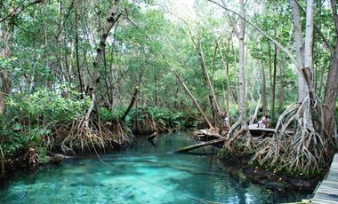 Terreno en Venta en Celestun Frente al Mar.