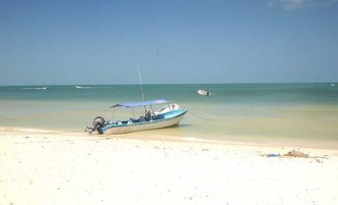 Terreno en Venta en Celestun Frente al Mar.
