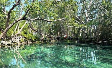 Terreno en Venta en Celestun Frente al Mar.