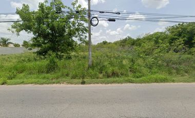 Terreno en Renta en Avenida Conkal