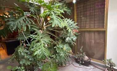 Casa en renta en Lindavista