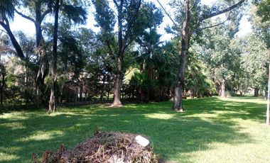 VENDE IMPORTANTE TERRENO EN PEREZ