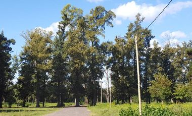 Lote en barrio parque La Arboleda