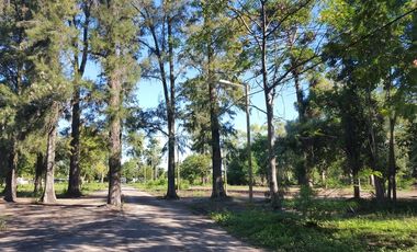 Lote en barrio parque La Arboleda
