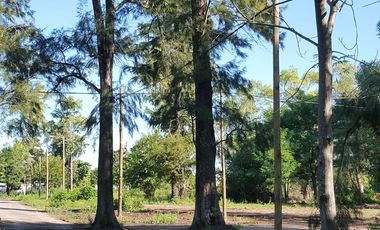 Lote en barrio parque La Arboleda