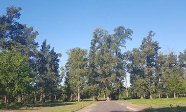 Lote en barrio parque La Arboleda