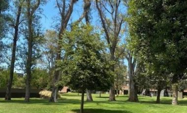 Departamento en  Aparts del Pinazo