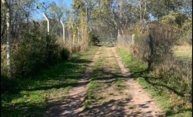 Casa en venta - 2 Dormitorios 1 Baño - 5.000Mts2 - Alejandro Korn