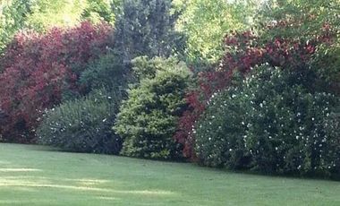 Casa en venta en Parque Las Naciones